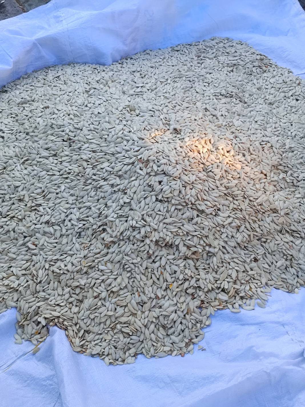 Konya’nın yüzde 100 yerli pazarı 17